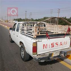 نيسان بيك اب